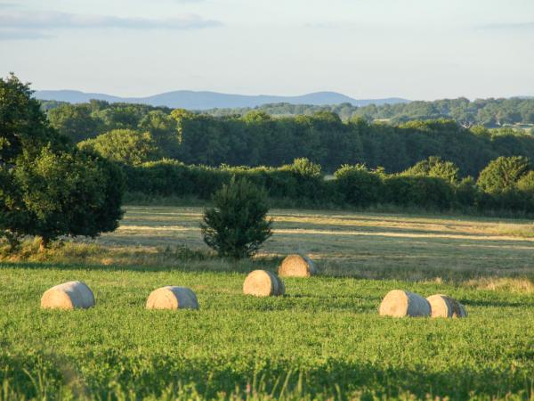 Umgebung [Sommer] (1-5 km)