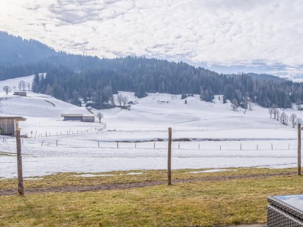 Aussicht vom Ferienhaus [Winter]