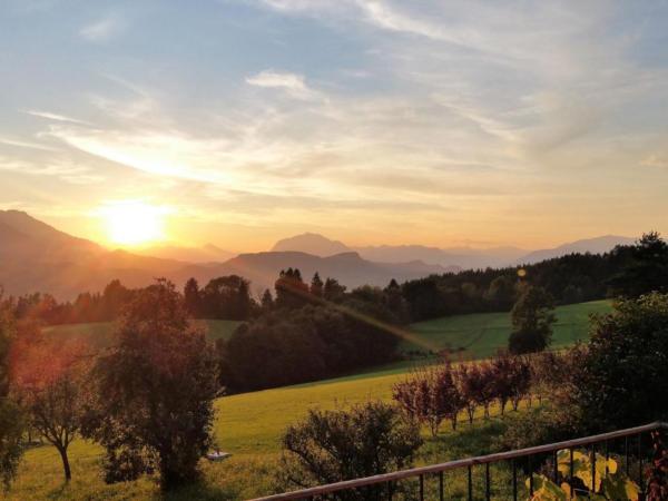 Aussicht vom Ferienhaus [Sommer]