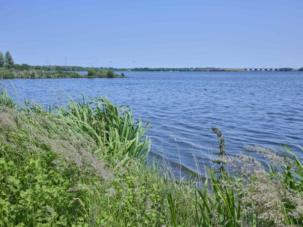 Omgeving [zomer] (1-5 km)