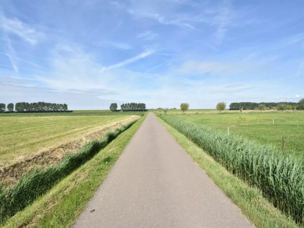 Omgeving [zomer] (1-5 km)