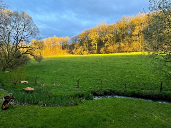 Aussicht vom Ferienhaus [Sommer]