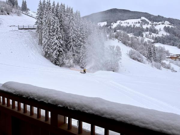 Aussicht vom Ferienhaus [Winter]