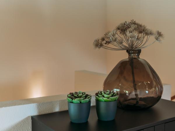 Ambiente / Nahaufnahme
