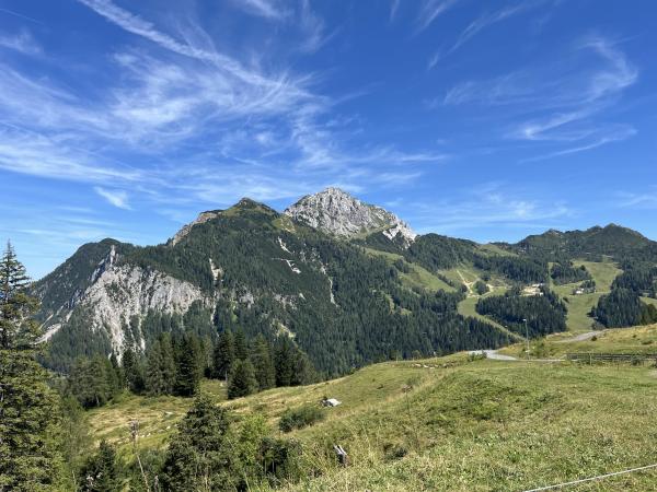 In de regio [zomer] (>5 km)