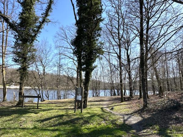 Direkte Umgebung [Sommer] (<1 km)