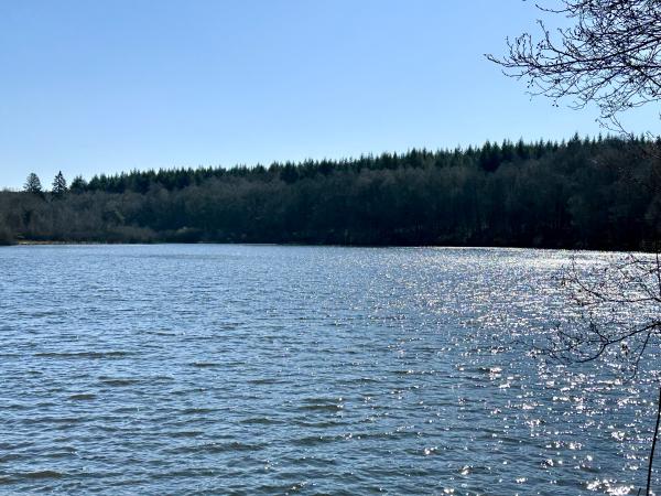 Directe omgeving [zomer] (<1 km)