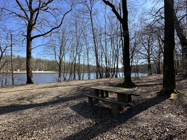 Directe omgeving [zomer] (<1 km)
