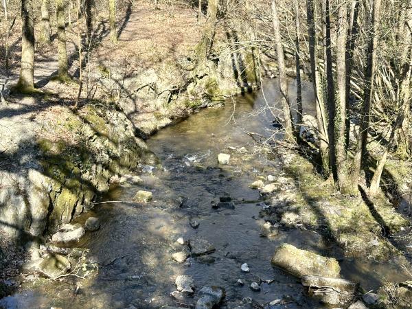 Directe omgeving [zomer] (<1 km)