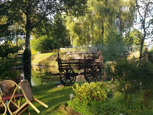 Tuin [zomer]