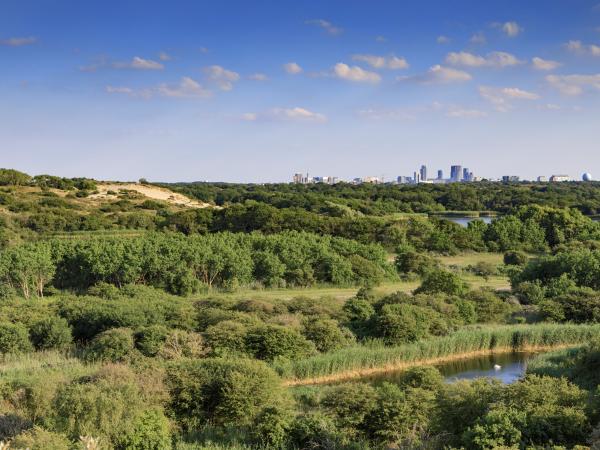 Omgeving [zomer] (1-5 km)