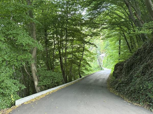 Immediate Surroundings [summer] (<1 km)