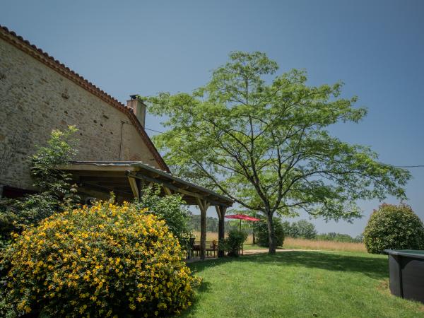 Garden [summer]