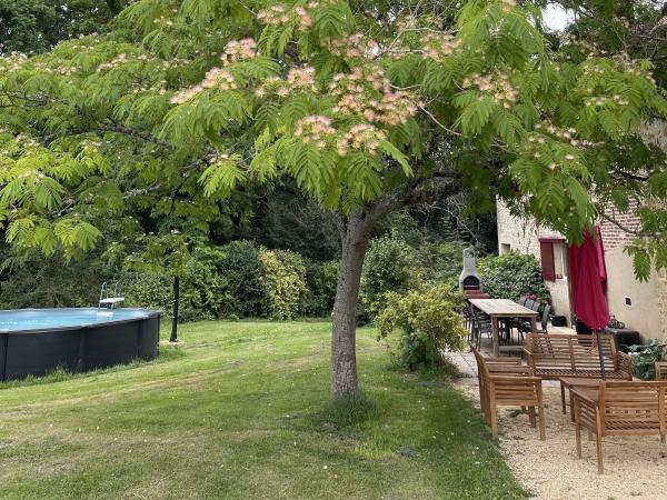 Garten [Sommer]