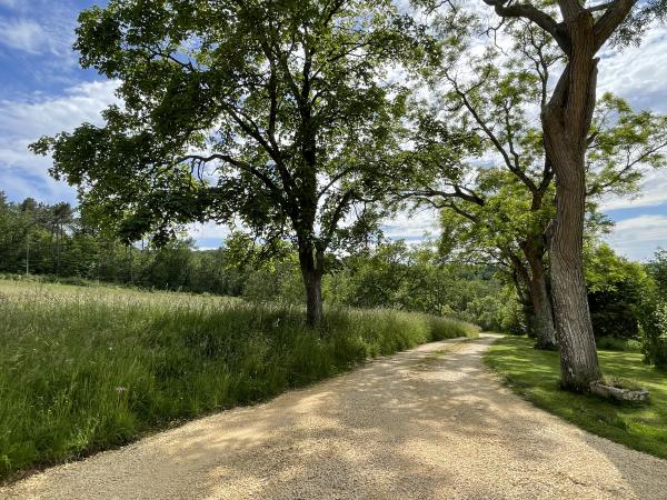 Garten [Sommer]