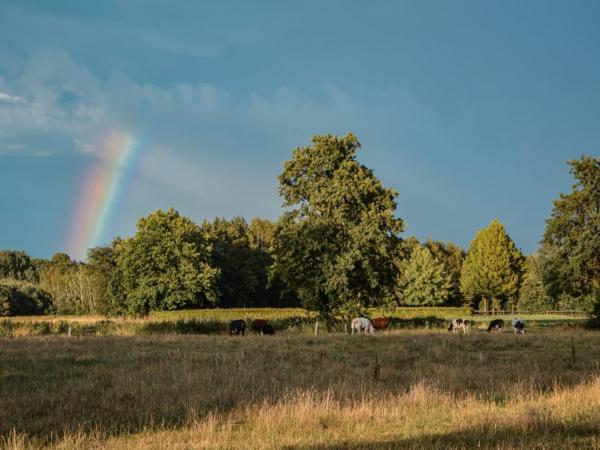 Aussicht vom Ferienhaus [Sommer]