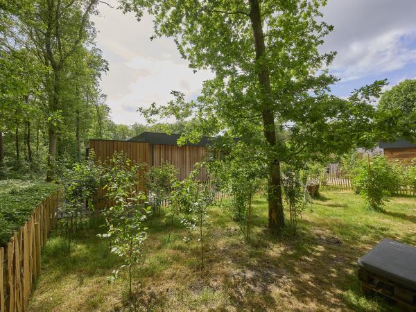 Jardin [été]