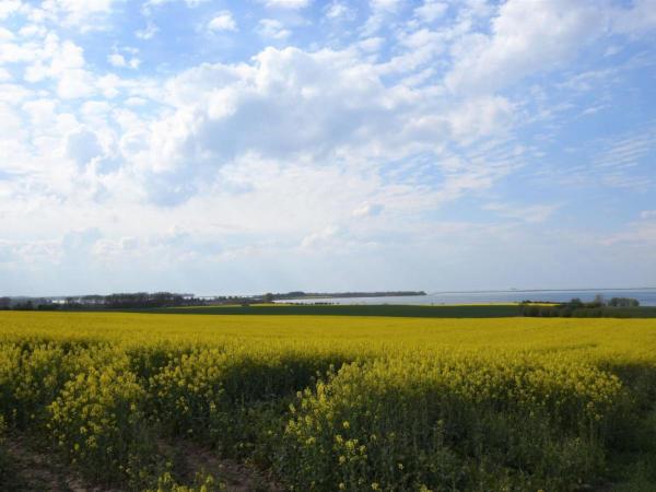 Blick aufs Wasser