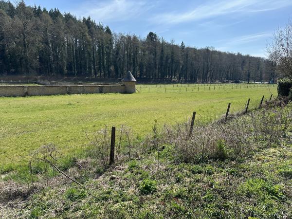 Omgeving [zomer] (1-5 km)