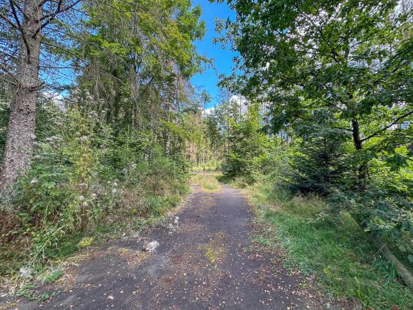 Direkte Umgebung [Sommer] (<1 km)