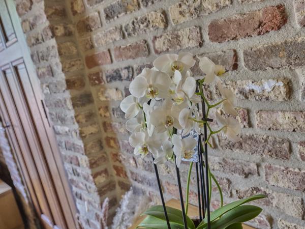 Ambiance / Close-up