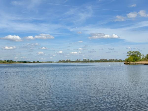 Directe omgeving [zomer] (<1 km)