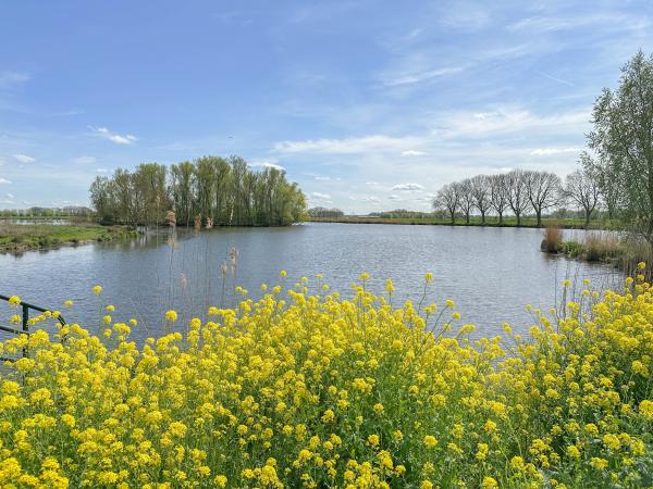 Directe omgeving [zomer] (<1 km)