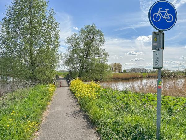 Directe omgeving [zomer] (<1 km)