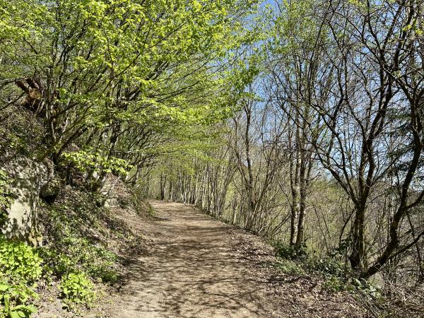 Omgeving [zomer] (1-5 km)