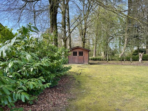 Tuin [zomer]