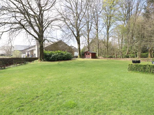 Tuin [zomer]