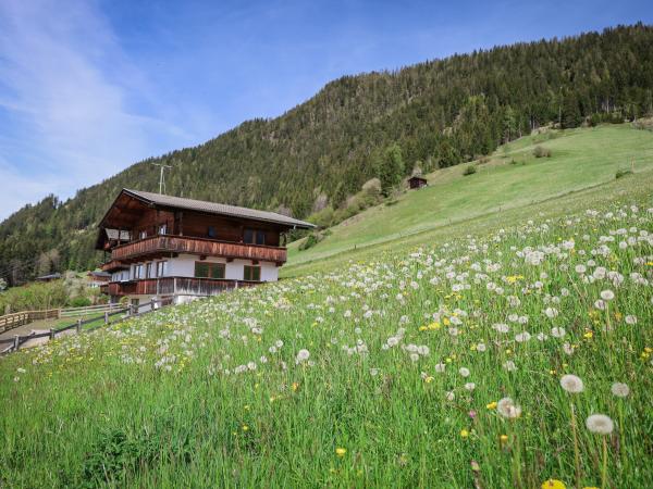 Außenseite Ferienhaus [Sommer]