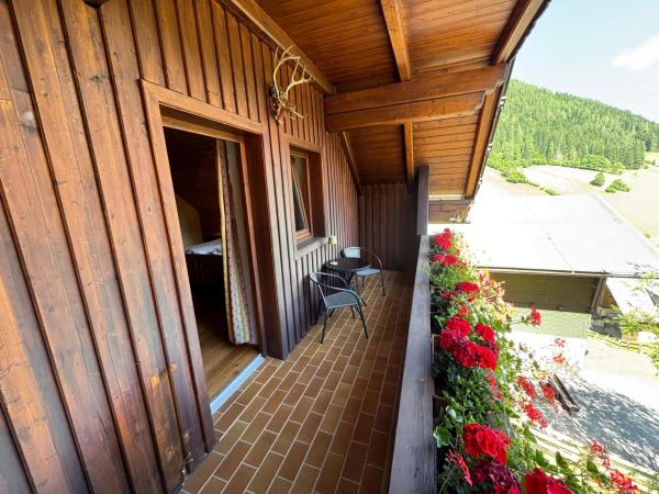 Patio / Balcony