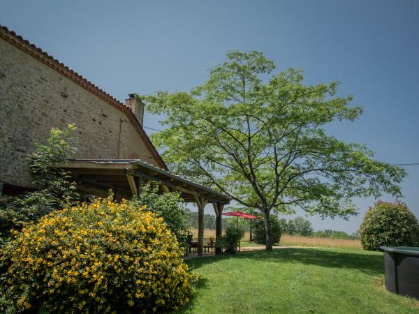 Jardin [été]