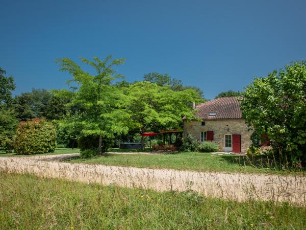 Jardin [été]