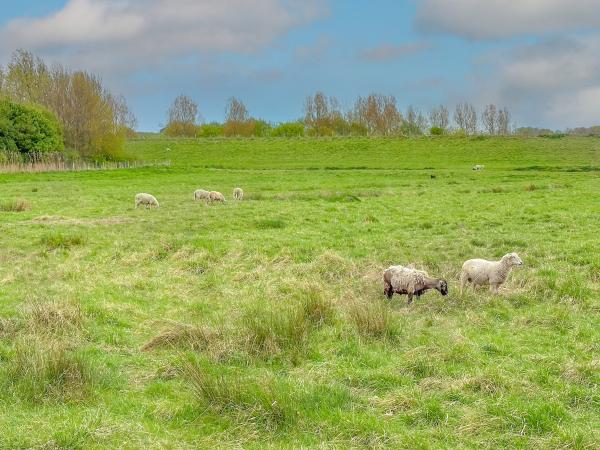 Direkte Umgebung [Sommer] (<1 km)