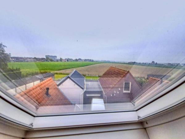 Aussicht vom Ferienhaus [Sommer]
