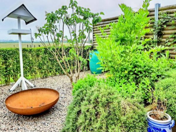 Garten [Sommer]