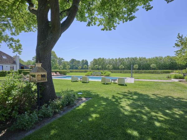 Garten [Sommer]