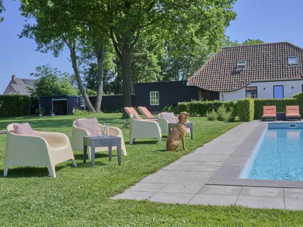 Garten [Sommer]