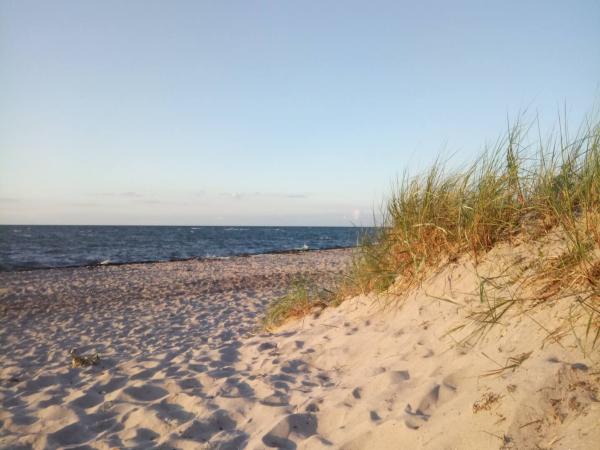Surroundings [summer] (1-5 km)