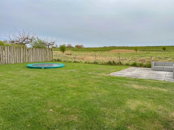 Tuin [zomer]