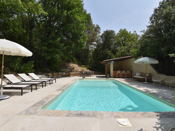 Schwimmbad des Ferienhauses