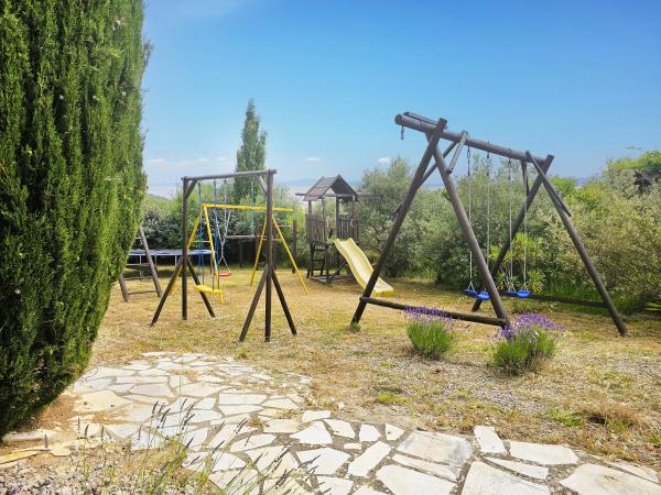 Tuin [zomer]
