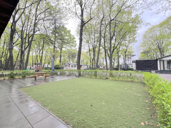 Jardin [été]