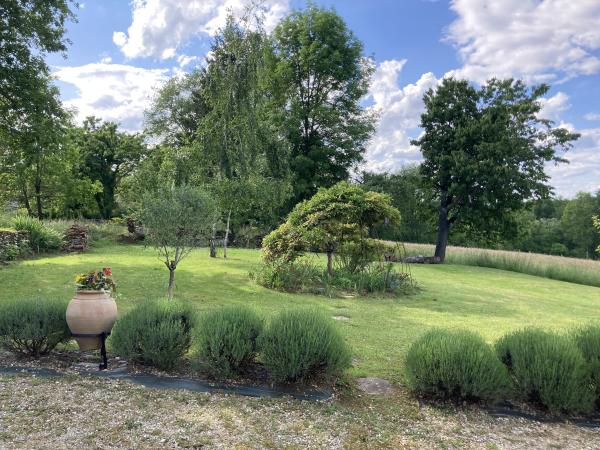 Tuin [zomer]