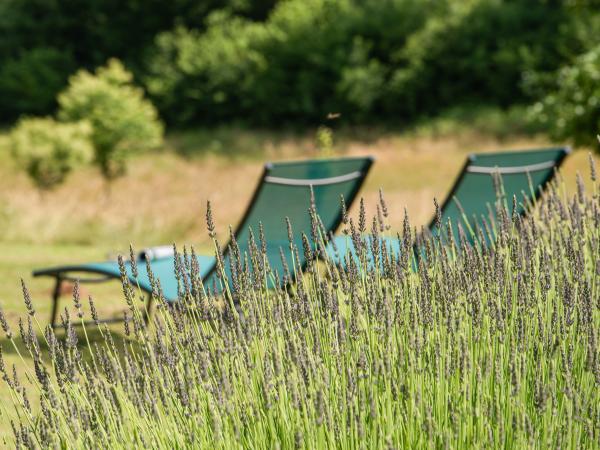 Garten [Sommer]