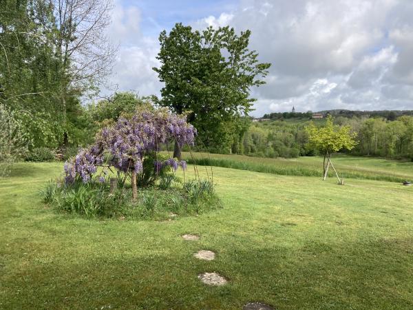 Tuin [zomer]