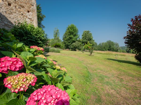 Garten [Sommer]