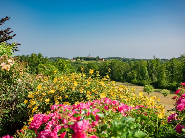 Aussicht vom Ferienhaus [Sommer]